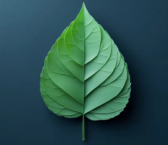 s03140_one_simple_cut_out_green_paper_leaf_on_dark_grey_backgro_c9de4750-7886-4fc9-b08d-eef512e4a900